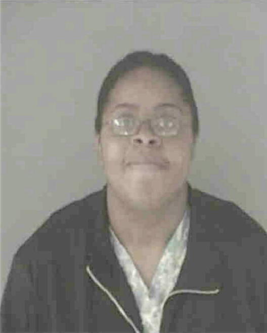 BINION, NICOLE MICHELLE - Peoria County, IL