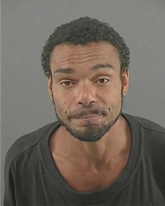 HAYES, JOSHUA ANDREW - Peoria County, IL