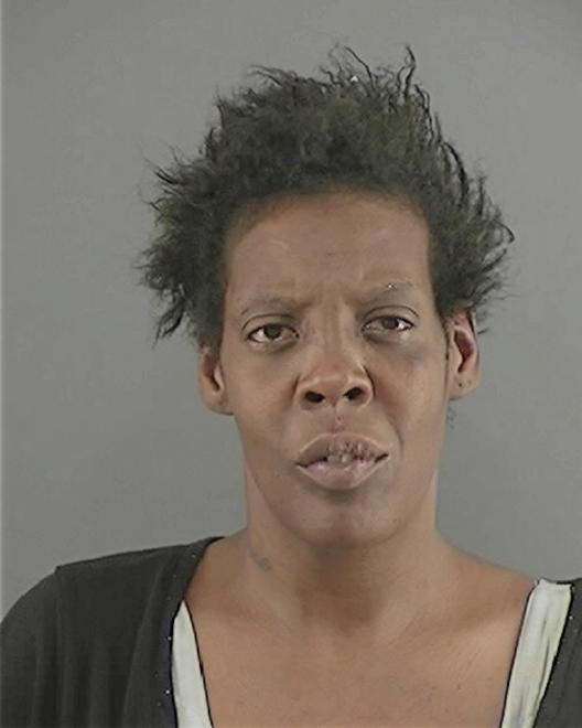 HOLLINS, CAROLYN MARIE - Peoria County, IL