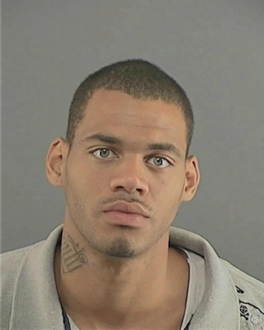 POLNITZ, SYLVESTER MICHAEL - Peoria County, IL