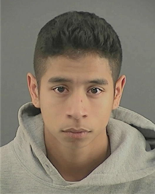 STEAR, LUIS ERNESTO - Peoria County, IL