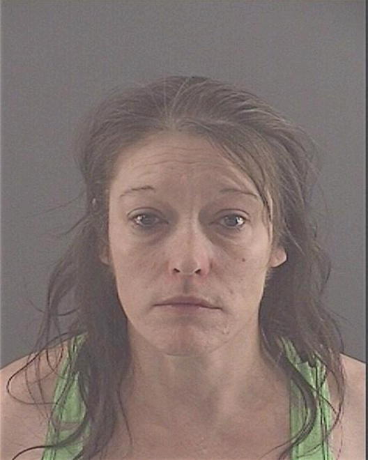 SHIDELER, JOSIE LYNN - Peoria County, IL