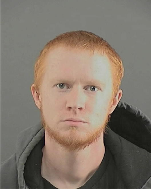 VANSAGHI, BRANDON LEE - Peoria County, IL