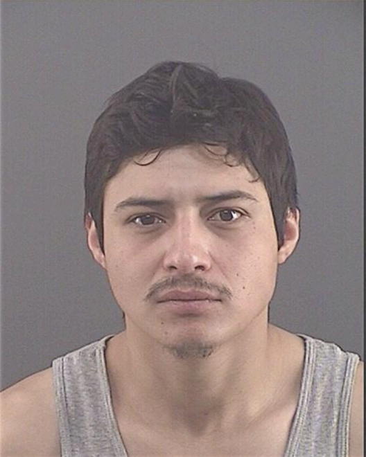 MECINA, JOSE FRANK - Peoria County, IL