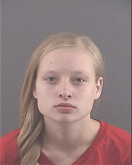 SCHIMMELPFENNING, KENDRA - Peoria County, IL