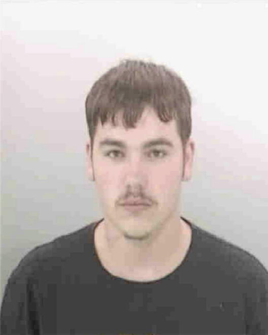 WILLIAMS, NATHAN R - Peoria County, IL