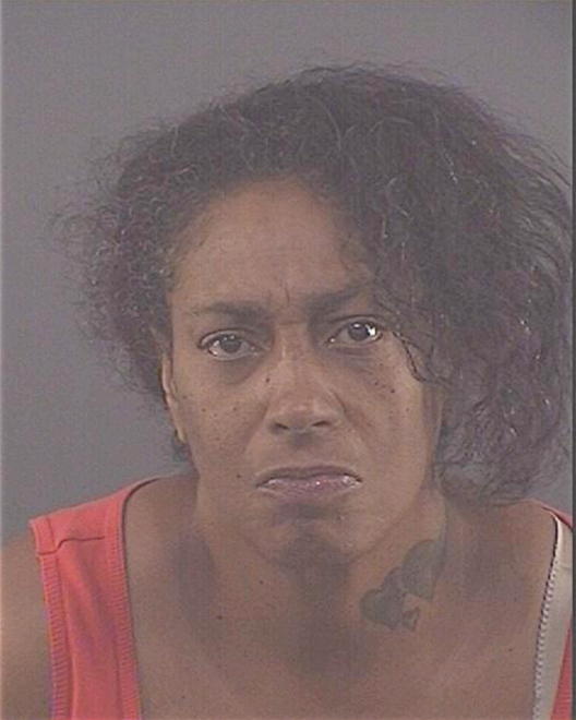 PURIFOY, ANN - Peoria County, IL