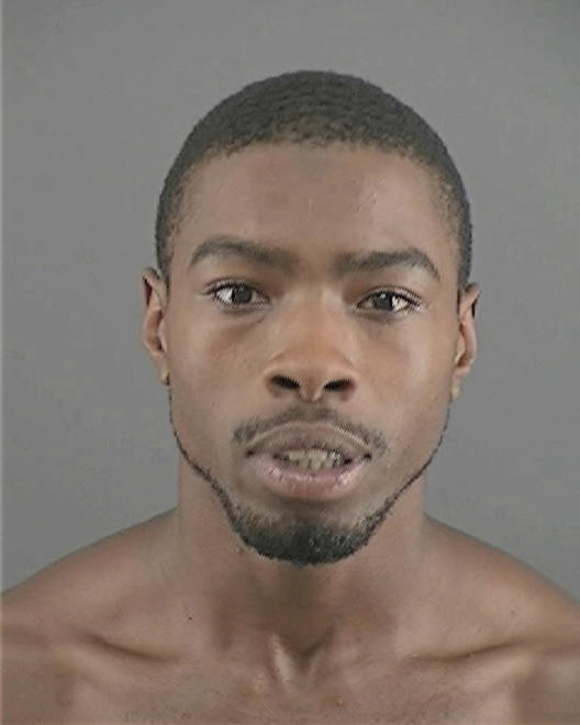 BROWN, ADAM LARRY - Peoria County, IL