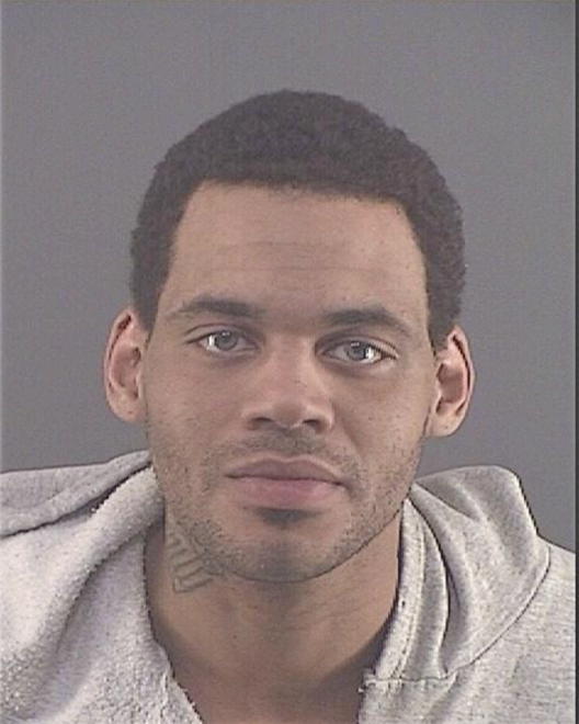 POLNITZ, SYLVESTER MICHAEL - Peoria County, IL