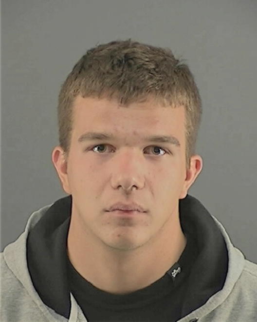 WILSON, ANDREW ROBERT - Peoria County, IL
