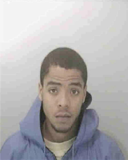 JOHNSON, BRANDON MICHAEL - Peoria County, IL