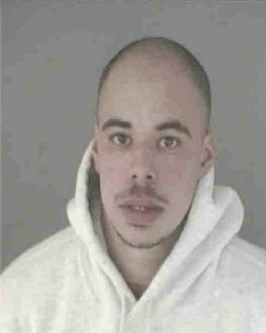 HAYNES, AARON LEE - Peoria County, IL