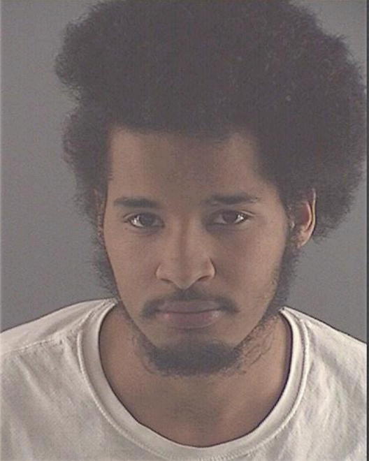 PAGE, SAVAUGHN K - Peoria County, IL