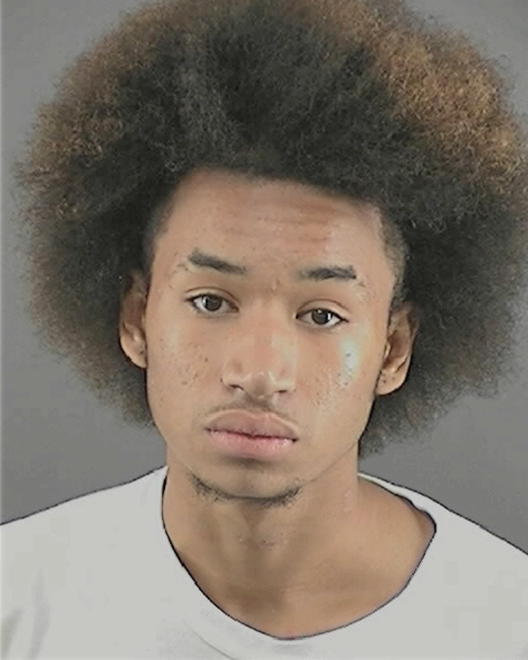 GULLEY, LATHANIEL ANTHONY - Peoria County, IL