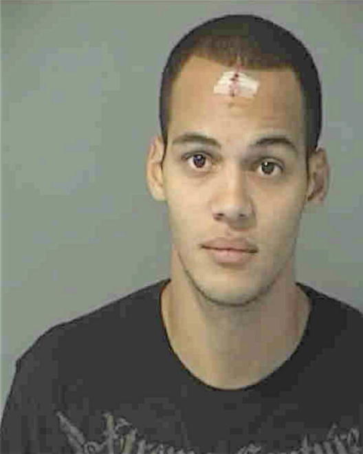 PEEPLES, JASON VERNON - Peoria County, IL