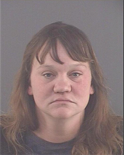 HOLT, LISA MARIE - Peoria County, IL