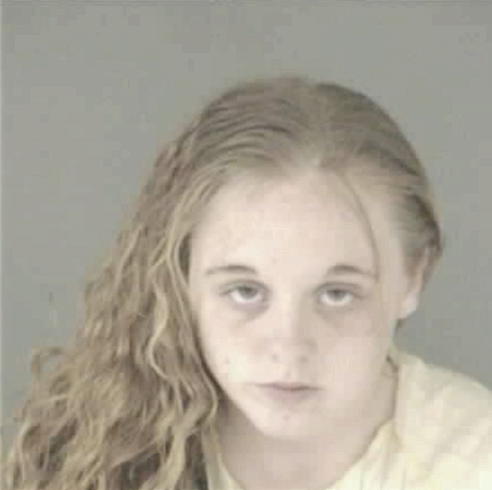 SCHMITT, ANDREA LEA - Peoria County, IL