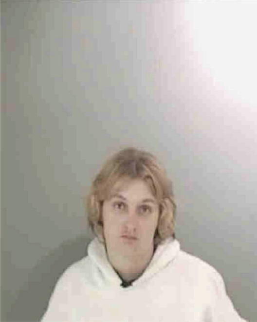 HUDSON, TONYA RANEA - Peoria County, IL