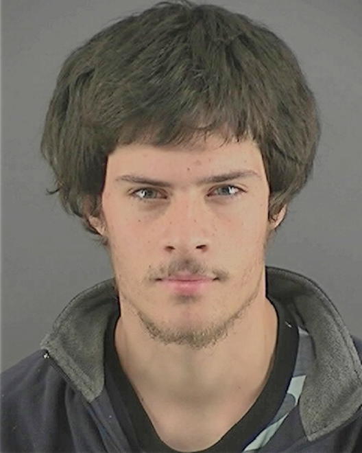PFANZ, JESSE LEE - Peoria County, IL