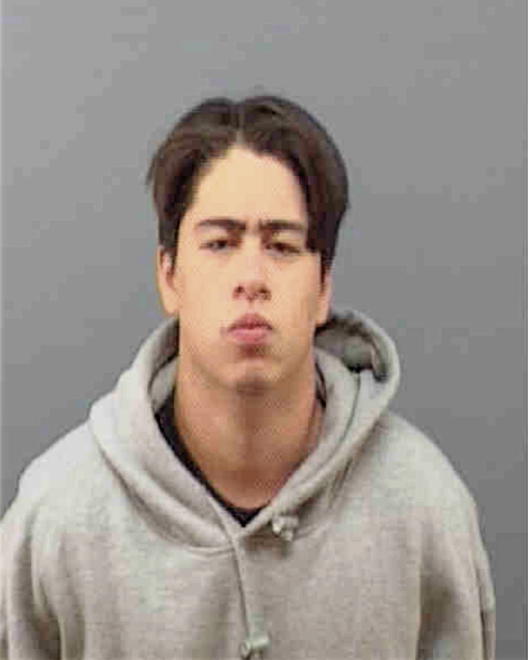 MONTENEGRO, MIGUEL ANGEL - Peoria County, IL