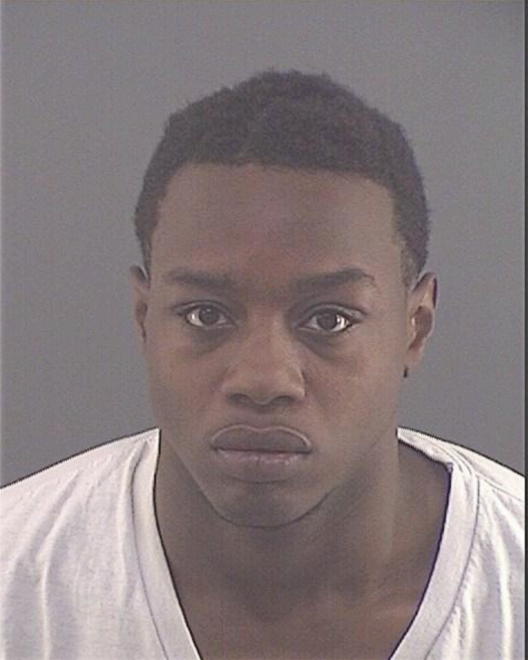 WATKINS, SHAUN LEE - Peoria County, IL