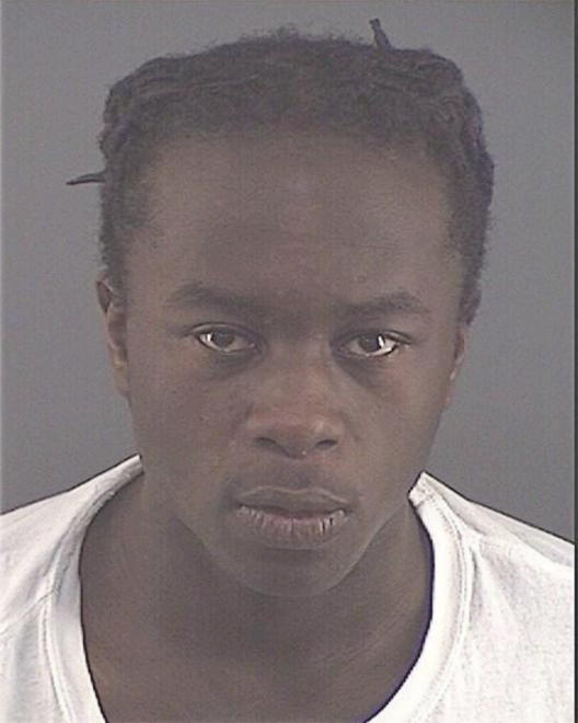 WHITEHEAD, NATHANIEL D - Peoria County, IL