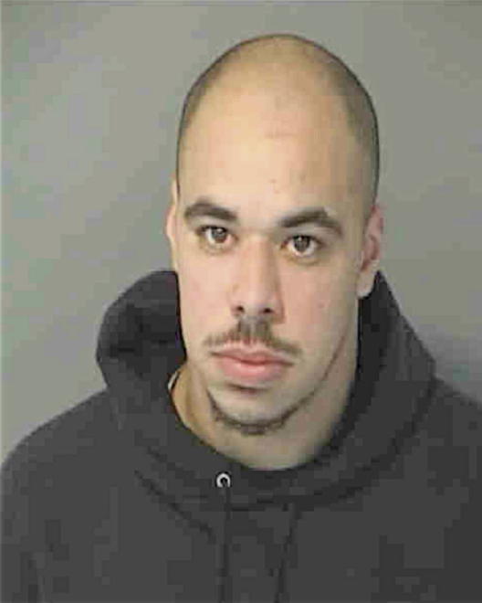 HAYNES, AARON LEE - Peoria County, IL