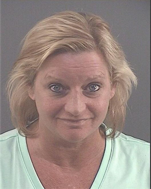 HOUZENGA, TIFFANY LEANN - Peoria County, IL