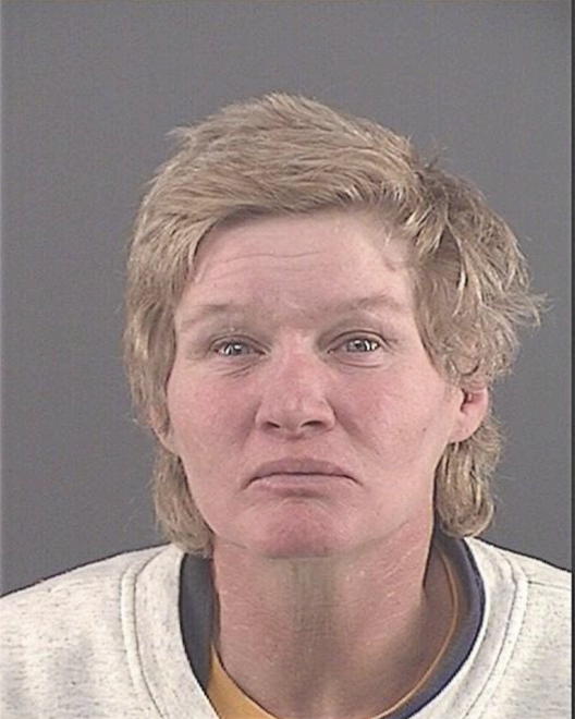 POWELL, TONYA LYNN - Peoria County, IL