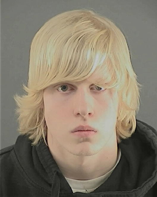 SILBER, BRANDON EDWARD - Peoria County, IL