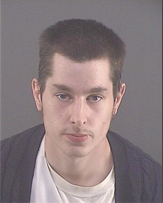 CHIARAVALLE, ANDREW J - Peoria County, IL