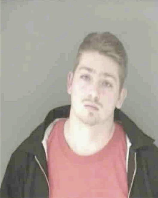 KRASNER, ADAM JASON - Peoria County, IL