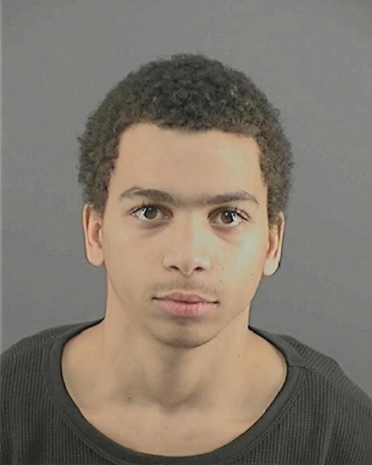 WRIGHT, DOMINIC D - Peoria County, IL