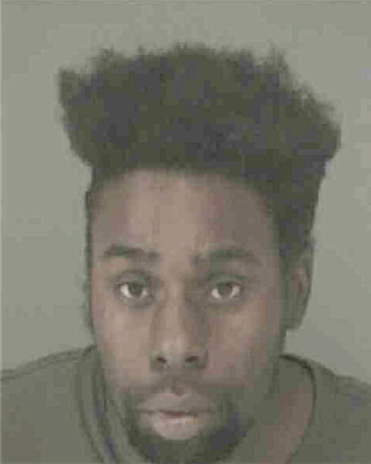 BROWN, HENRY LEE - Peoria County, IL