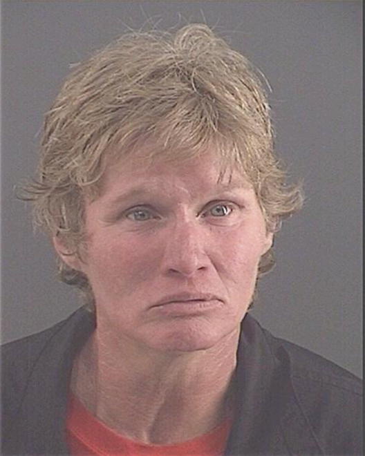POWELL, TONYA LYNN - Peoria County, IL