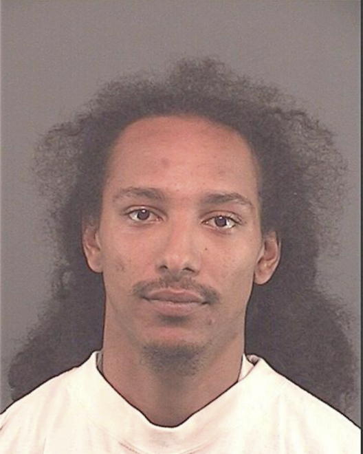 WATSON, DONAVEN J - Peoria County, IL
