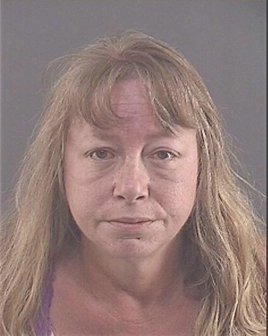 LEE, DENISE MARIE - Peoria County, IL