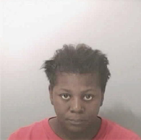JOHNSON, CHRISTEL RENEE - Peoria County, IL
