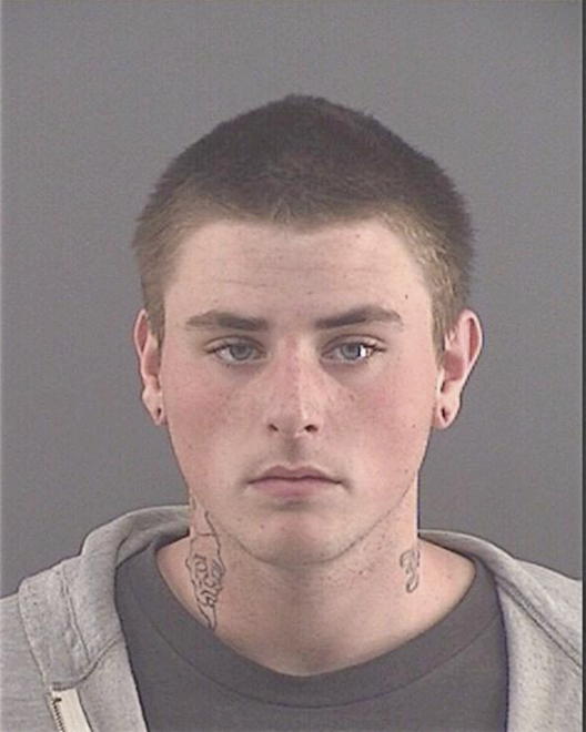 LEE, STEVEN WAYNE - Peoria County, IL