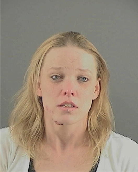JOHNSON, STACEY ROSE - Peoria County, IL