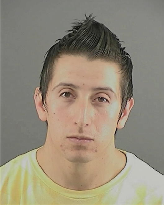 DELAPAZ, PEDRO MURILLO - Peoria County, IL