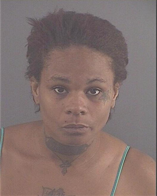 STELIVAN, EBONIE S - Peoria County, IL