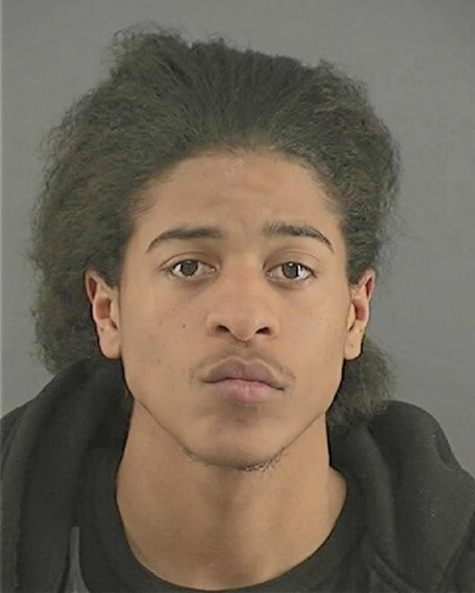 JOHNSON, BENTAVIUS LEE - Peoria County, IL