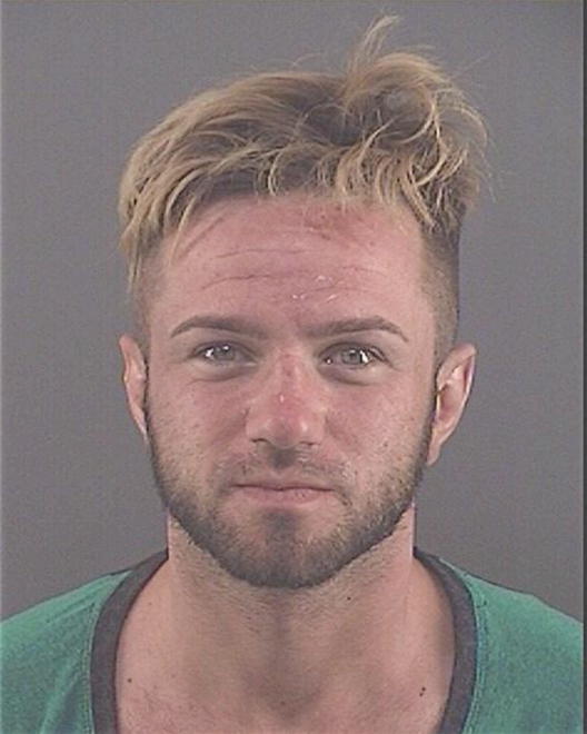 ARSLANOVIC, DENIS - Peoria County, IL
