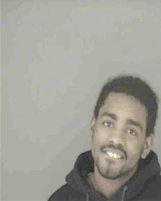 SEIBER, TOBIAS LOVELL - Peoria County, IL