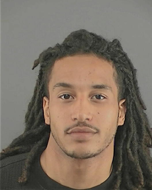 STEEG, MICHAEL R - Peoria County, IL