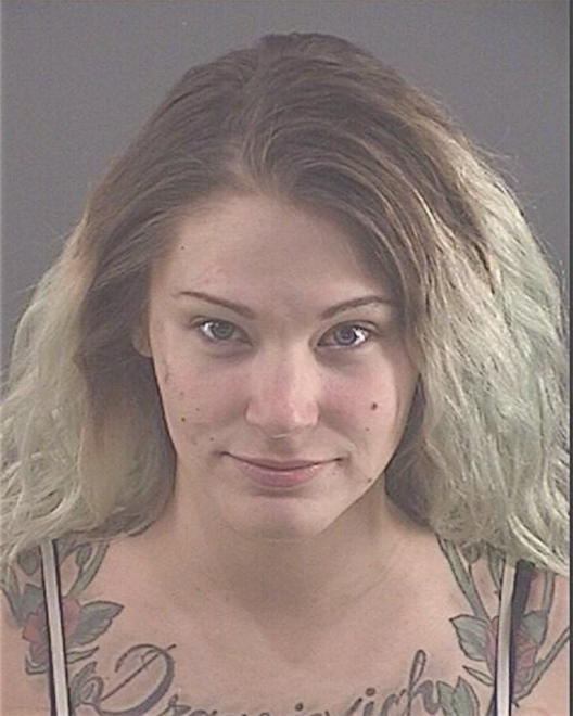 DRAGOJEVICH, ALLISON V - Peoria County, IL