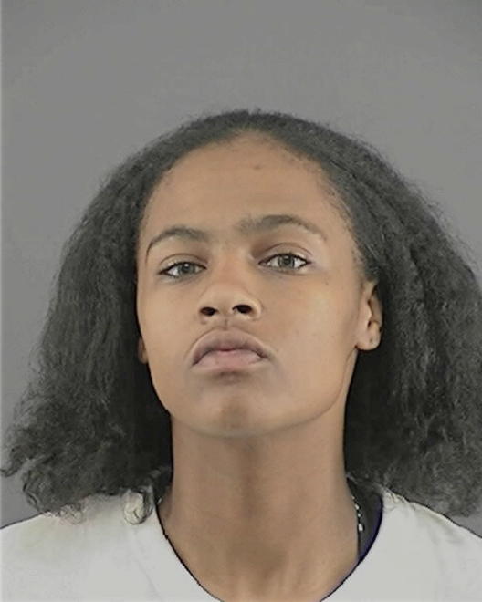NELSON, ERICA RENEE - Peoria County, IL
