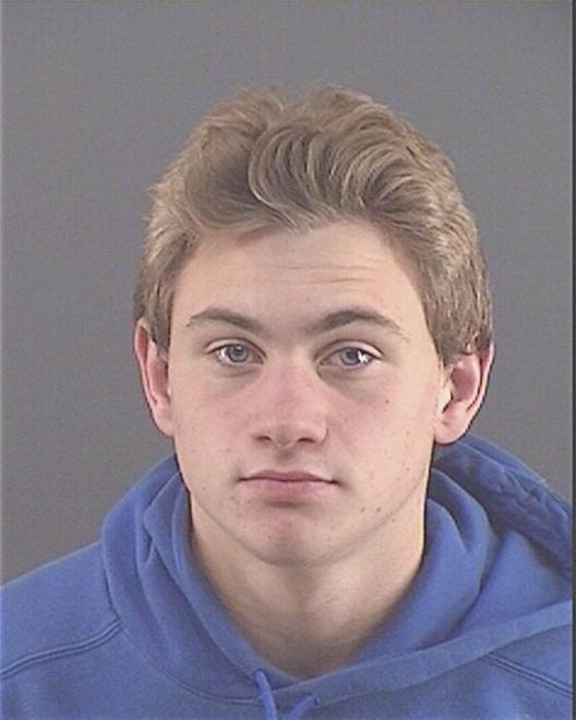 VARDA, MITCHELL - Peoria County, IL