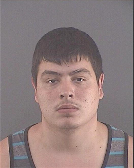 BENDER, DREAMER D - Peoria County, IL